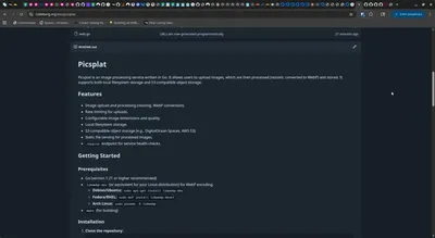 testing a stupid and futile gesture